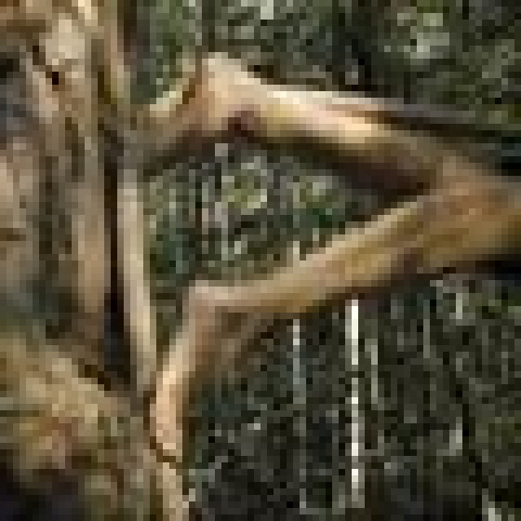 ENT - Company - Sweden - StageLync ENT - Company - Sweden - StageLync