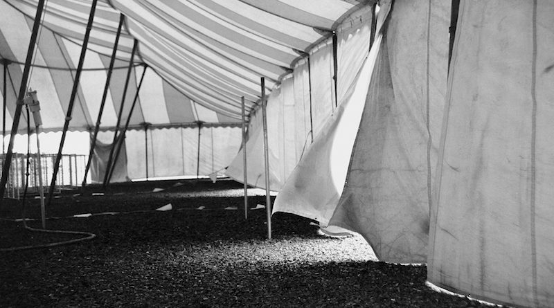 A black and white image of tent flaps held up my ratchet straps