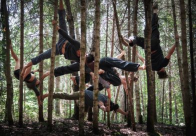 Circus artists hang from the trees, imitating spiders