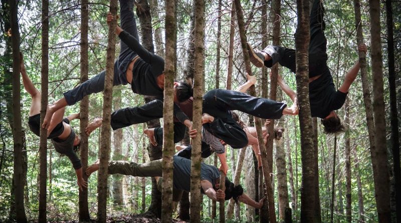 Circus artists hang from the trees, imitating spiders
