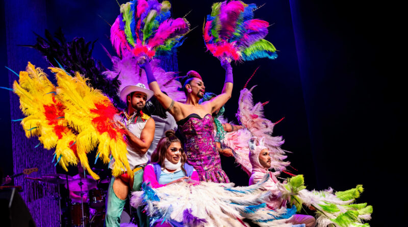 Briefs Factory Collective Australia