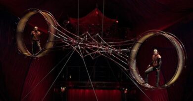 Emergency Scenarios and Technical Errors