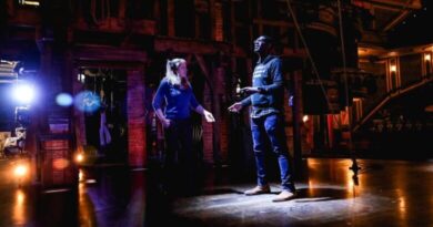Understanding Relationships between Stage Managers and Performers Understanding Relationships between Stage Managers and Performers