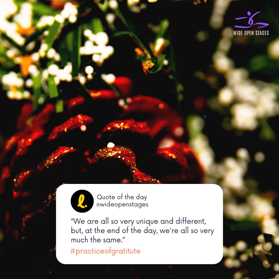 The Practice of Gratitude Amidst Festive Overwhelm