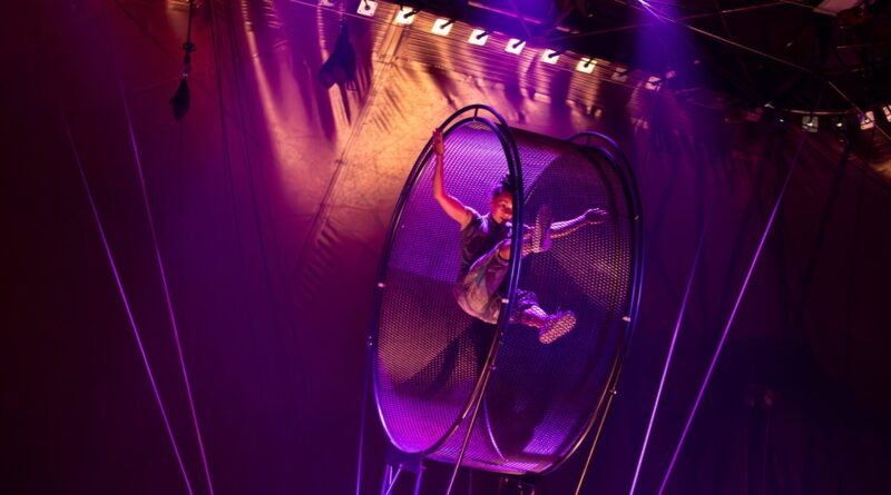 Revel Puck Circus - StageLync