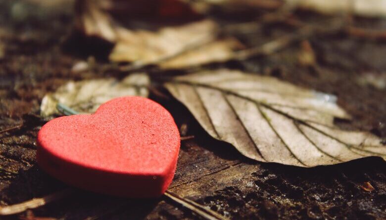 Practice of Gratitude