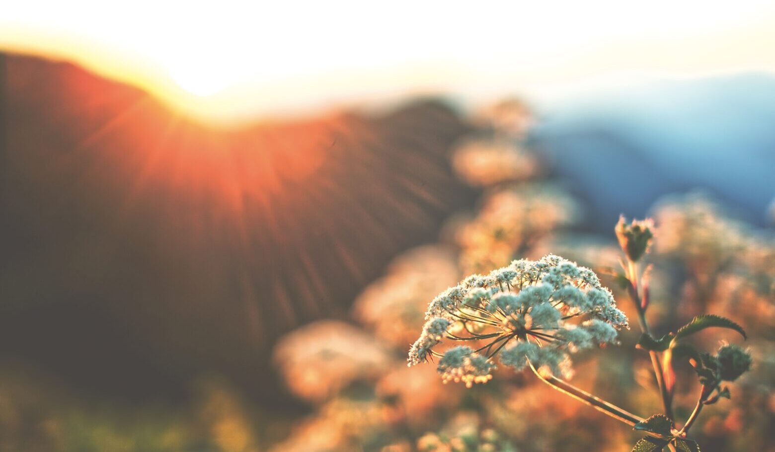 The Antidote to Mental Clutter