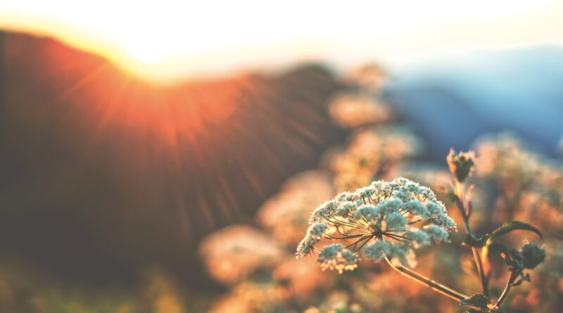 The Antidote to Mental Clutter