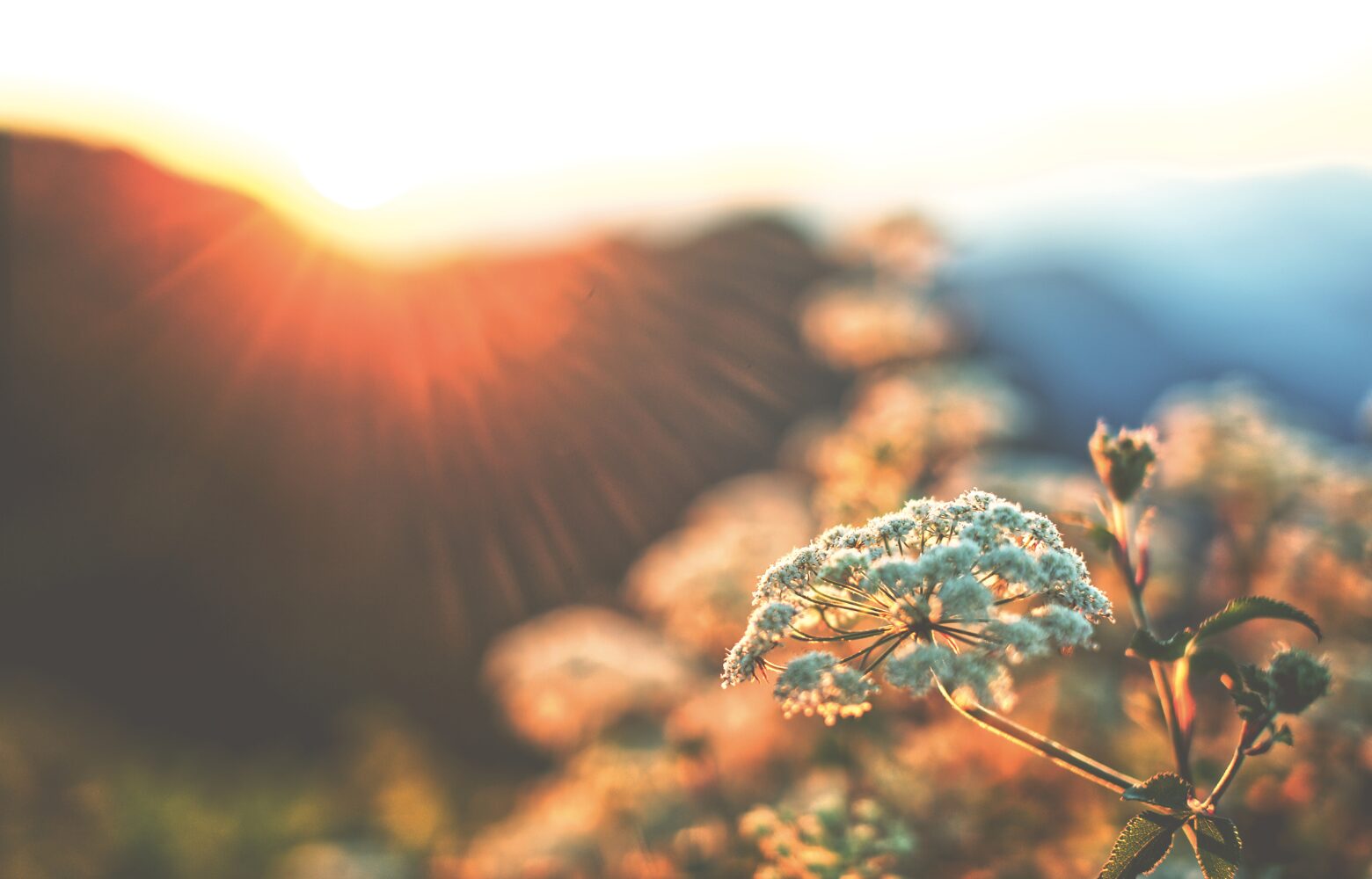The Antidote to Mental Clutter: Internal Noise To Calm