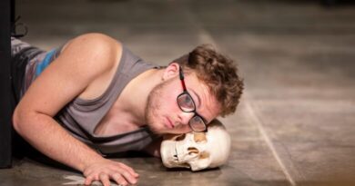 Hamlet Reimagined by Chela De Ferrari
