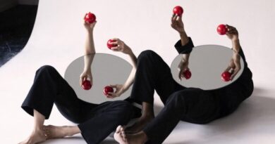 LEME 2025: A Festival of Illusions, Ideas, and Artistic Disruption