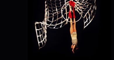 Historic Leap for Québec Circus: SCUSE Wins First-Ever Best Circus Piece Award