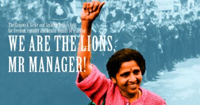 Cast Announced for We Are the Lions, Mr Manager!