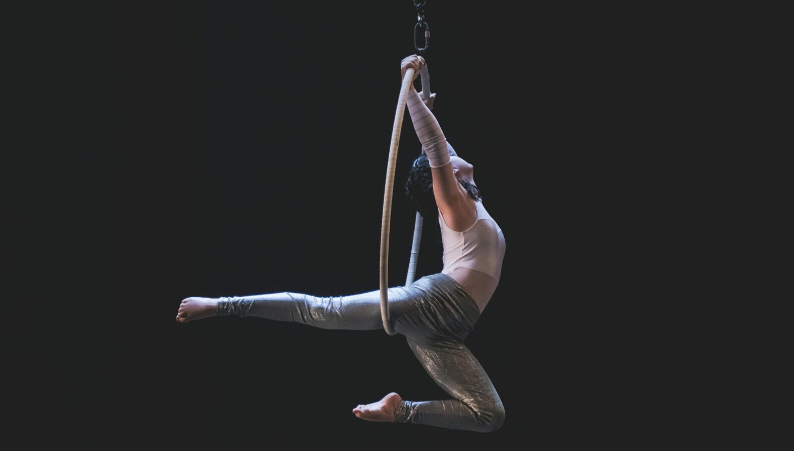 Circus Jobs
