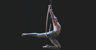 Circus Jobs: The StageLync Job Board