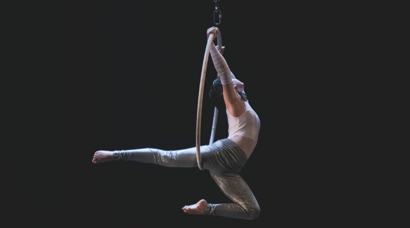 Circus Jobs: The StageLync Job Board