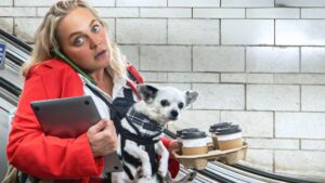 Jobsworth: Comedy About Surviving London Life