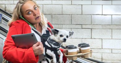 Jobsworth: Comedy About Surviving London Life