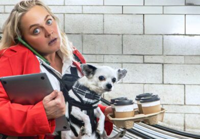 Jobsworth Comedy About Surviving London Life