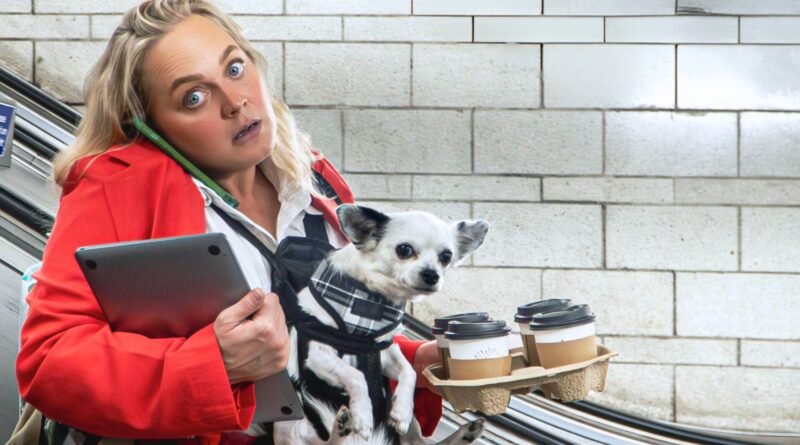 Jobsworth: Comedy About Surviving London Life