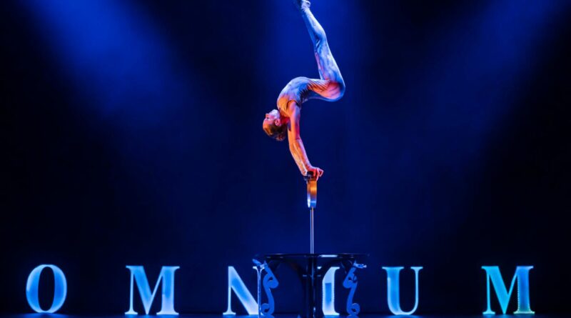 Omnium Circus Named as Finalist In 5th Annual NYC Imagine Awards