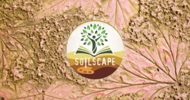 SOILSCAPE Launches €2M Open Call for Soil Literacy Through Art