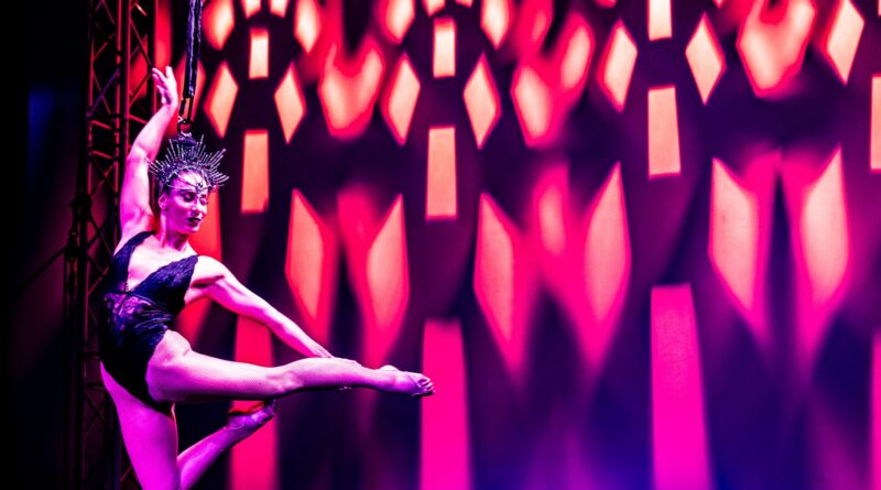 Soirée des Arts In the Heart of Miami – A Circus Celebration