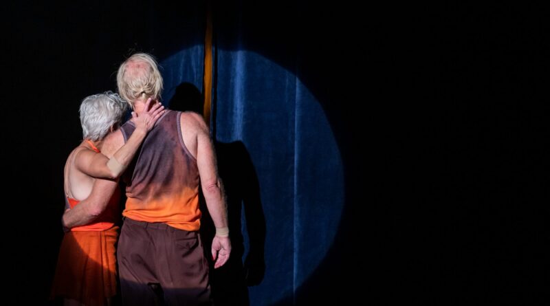 Play 2026 at Chamäleon Berlin Celebrates Contemporary Circus