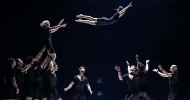 How the Performing Arts Sector Evolved in 2025