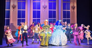 The Christmas Pantomime: Have You Seen a Panto?