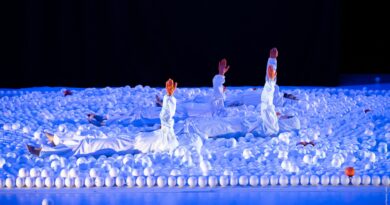 UP Festival 2026: Contemporary Circus Takes Over Brussels as a Space for Connection, Care, and Resistance