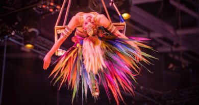 What 8 Shows a Week in the Circus Taught Me About True Discipline. What 8 Shows a Week in the Circus Taught Me About True Discipline.