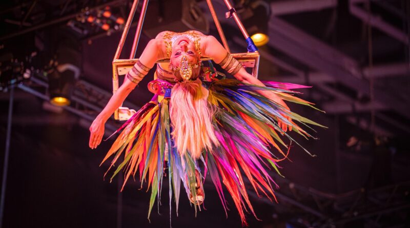 What 8 Shows a Week in the Circus Taught Me About True Discipline.
