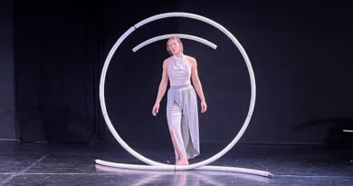 Deconstructing the Cyr Wheel