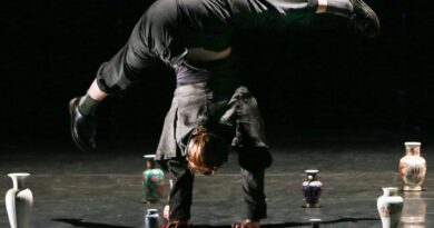 SURREALE: FLIC Circus School Opens Call for Artists Under 35 in Turin, Italy