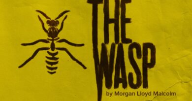 Cast Announced for Morgan Lloyd Malcolm’s The Wasp in London