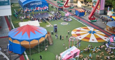 Circusstad Festival 2026: A City Celebrates the Freedom of Circus
