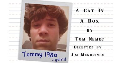 Tom Nemec Brings ‘A Cat in a Box’ to The Tank NYC this May