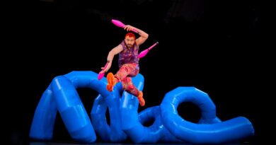 Wes Peden’s Rollercoaster Juggling Show Tours South East