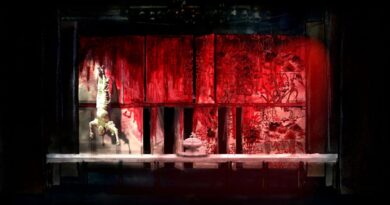 Dr Aby Cohen: Designing Without Borders