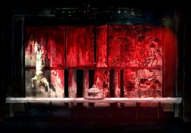 Dr Aby Cohen Designing Without Borders - StageLync