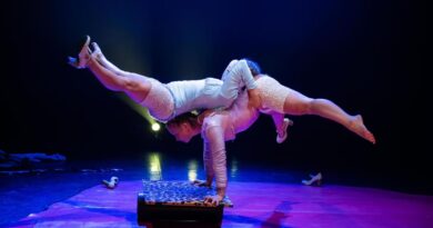 From Street Shows to Global Stages: How Lotta and Stina Defied the Industry