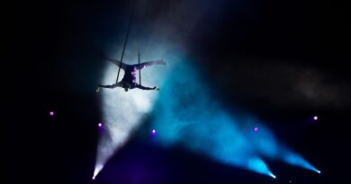 Bridging the Gap: The Inaugural Circus Science Symposium Holds Answers for Evidence-Based Performance Bridging the Gap: The Inaugural Circus Science Symposium Holds Answers for Evidence-Based Performance