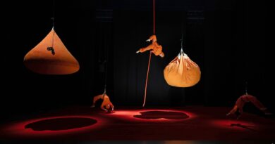 Chwallow: When Circus Becomes Monochrome Chwallow: When Circus Becomes Monochrome