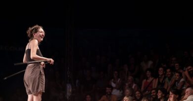 Stand-up Comedy and Circus: Neighbours, Cousins, or Brothers? Stand-up Comedy and Circus: Neighbours, Cousins, or Brothers?