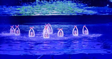 Invisible Titans: How Synchronized Swimming Became the Soul of Modern Shows