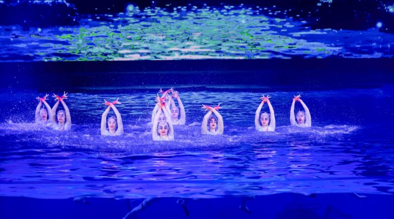 synchronized swimming in water shows