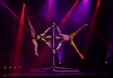 Jobs for Dancers and Physical Performers StageLync Job Board - StageLync