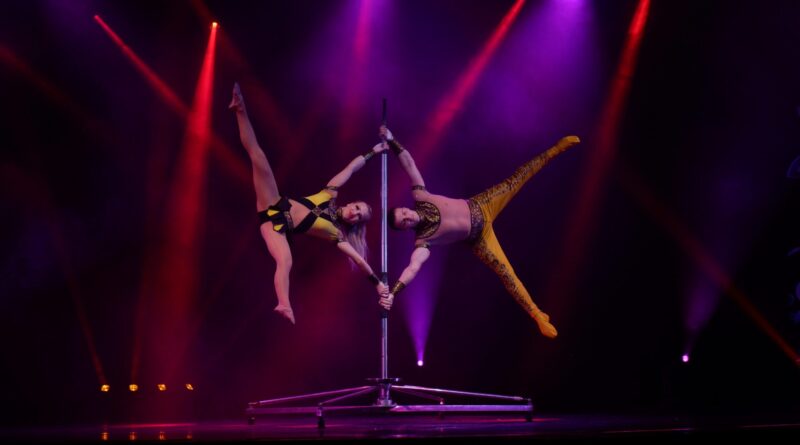 Jobs for Dancers and Physical Performers: StageLync Job Board