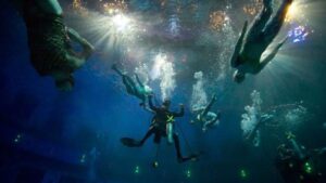 How Do We Breathe Underwater? The Truth About Synchronized Swimming, Freediving, and Scuba Diving